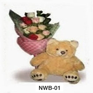 NWB01