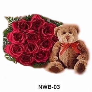 NWB03