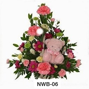 NWB06