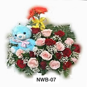 NWB07