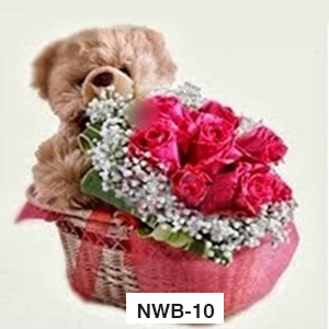 NWB10