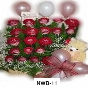 NWB11