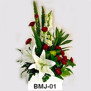 BMJ01