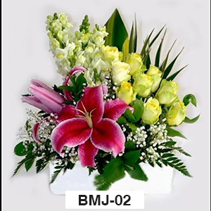 BMJ02