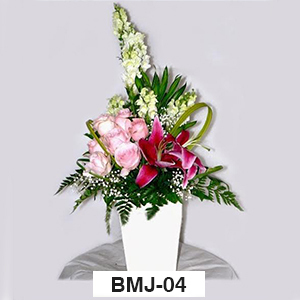 BMJ04