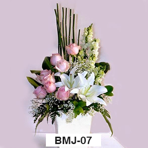 BMJ07