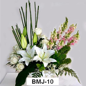 BMJ10