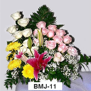 BMJ11