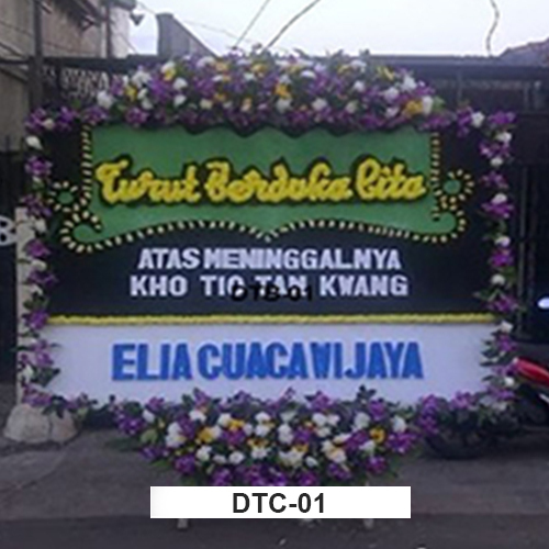 DTC01