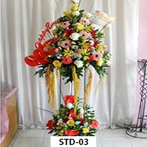 STD-03