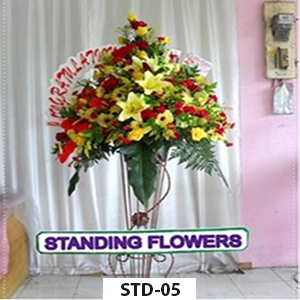 STD-05