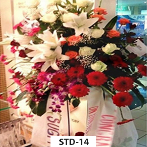 STD-14