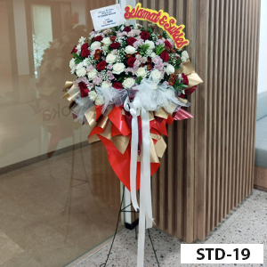 STD-19