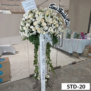 STD-20