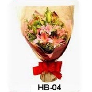 HB04