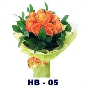 HB05