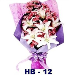 HB12